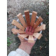 Cachepô de madeira Cone (10x10)