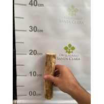 Toquinho de Café  (20cm) - UN