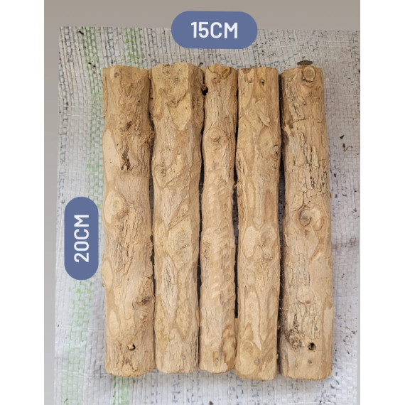 Placa Jangada de Café Media (15x20)