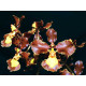 Oncidium Enderianum - T3