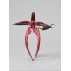 Bulbophyllum Meen Garuda  - AD
