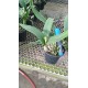 Potinara Sunny Harmony - AD