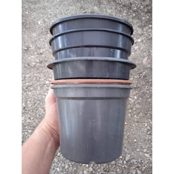  5 unides Vaso Usados  (pote 14)