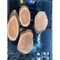 Bolacha de Sanção (placa)  - Unidade