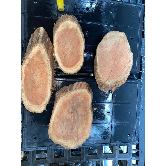 Bolacha de Sanção (placa)  - Unidade