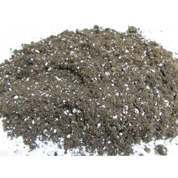 Substrato  Sphagnotec - 3 litros